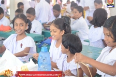 VESAK-033