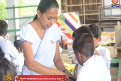 VESAK-06