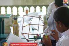 VESAK-11